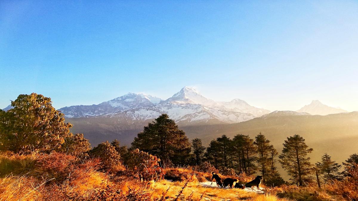 Travelling In Nepal With Kids