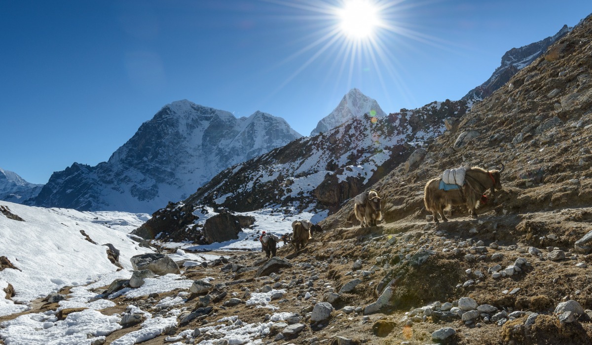 Guided trek to Everest Base camp