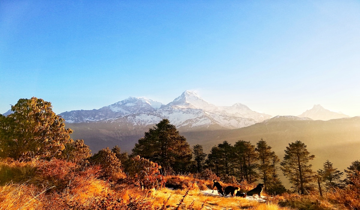 Things To Consider Before Travelling To Nepal