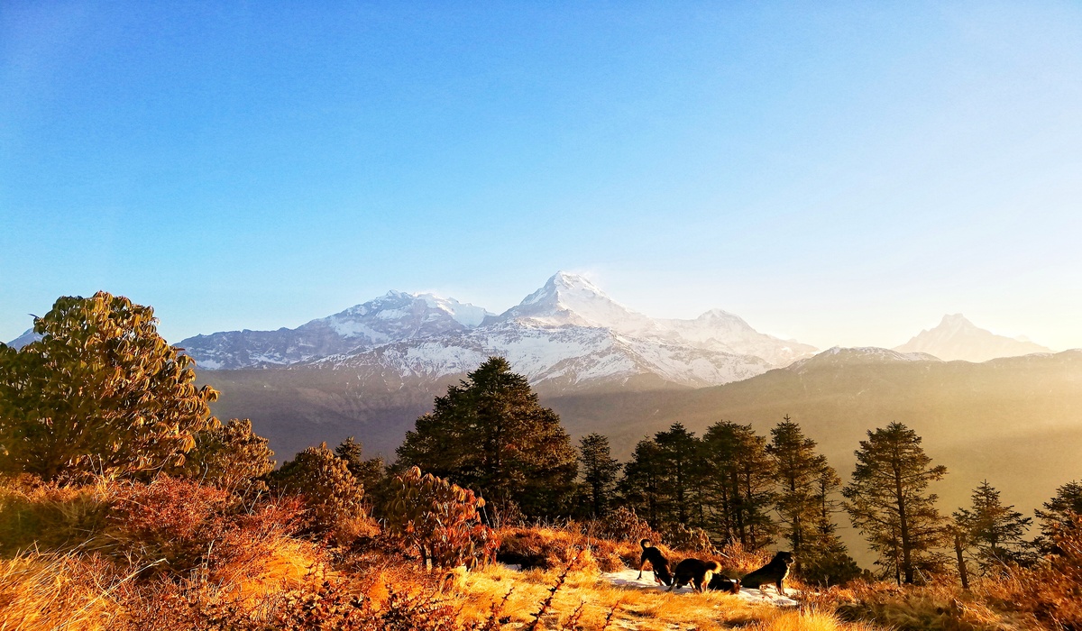 Digital nomads in Nepal