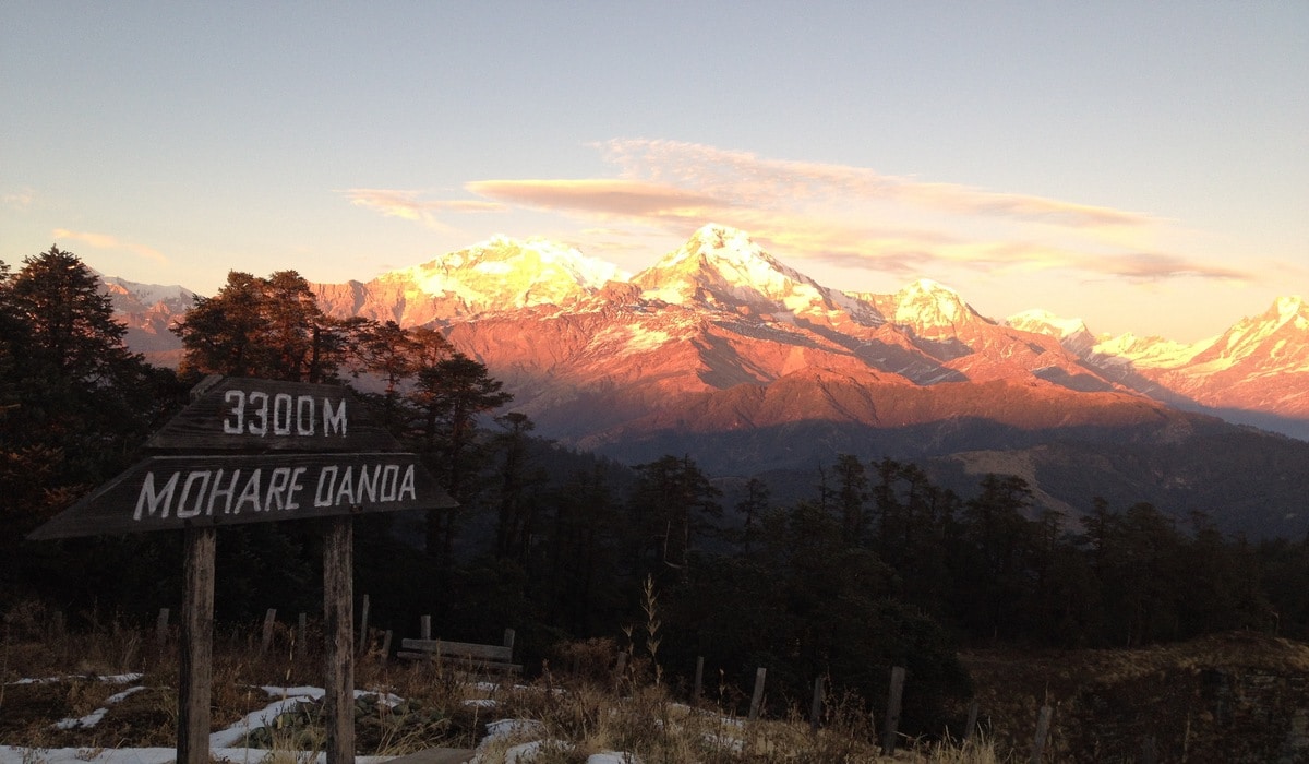 Mohare Danda Trek: A Complete Trek Guide