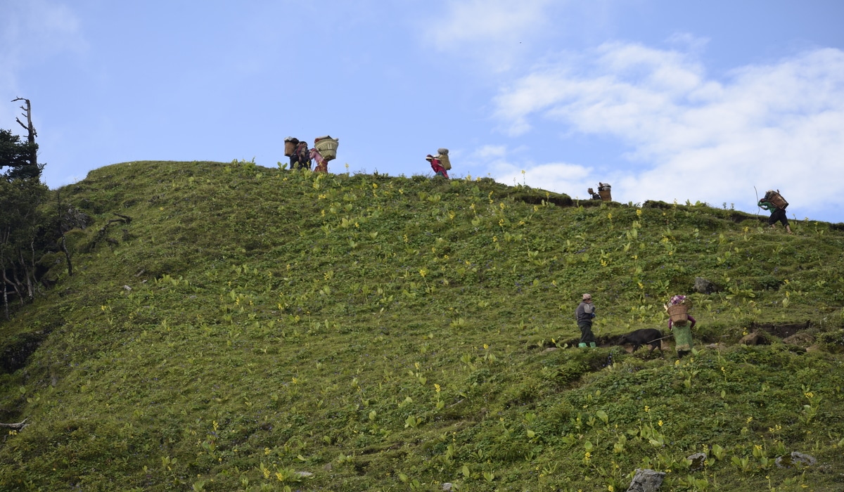 Badimalika Trek